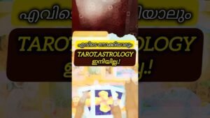 Leia mais sobre o artigo എവിടെ നോക്കിയാലും #tarot #astrology #relationship #tarotreading #മലയാളം #tarotreader #divine