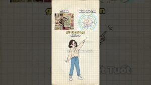 Leia mais sobre o artigo Bản đồ sao thì tui cũng tin còn Tarot thì hên xui nha