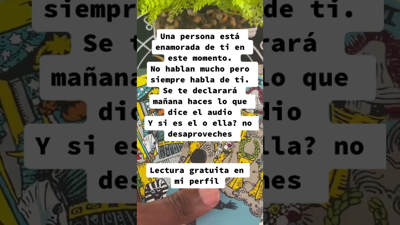 No momento, você está visualizando CONSULTAS Y TRABAJOS GRATIS EN EL LINK DE MI PERFIL😍 #tarot #lecturadecartas #tarotreading