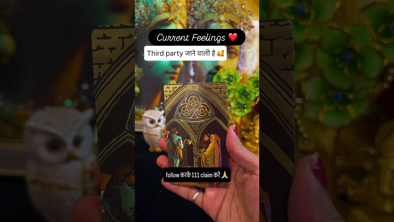 No momento, você está visualizando current feelings ❤️ #tarot #astrology #cardreading #love #tarotcards