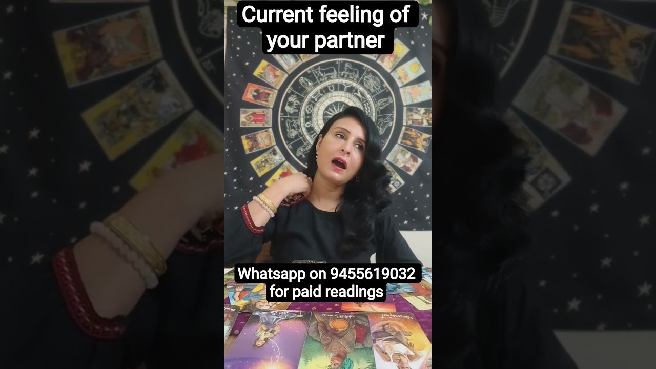 No momento, você está visualizando current feelings of your partner 💕✨🫂 #tarot #relationship #tarotreading
