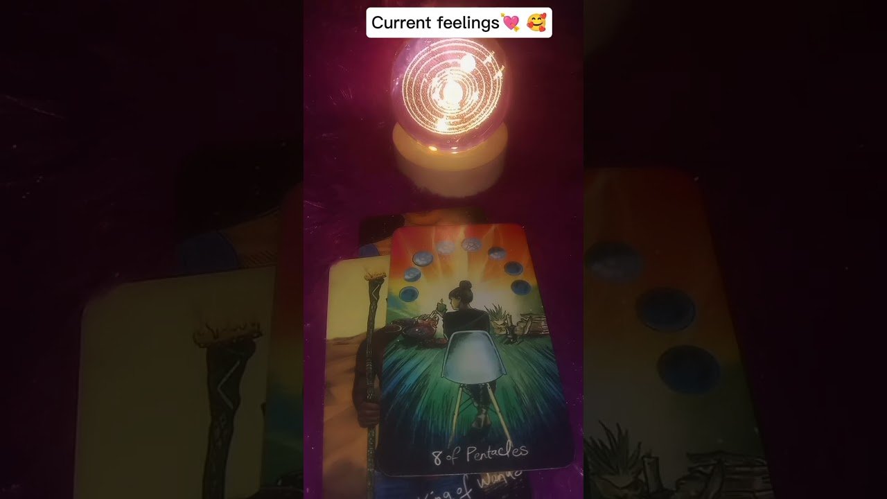 No momento, você está visualizando Current feelings of your partner #collectivereading #tarot #nocontactreading #viral #timeless