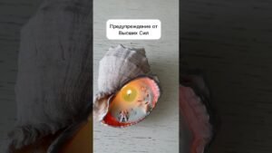 Leia mais sobre o artigo Предупреждение | Чего остерегаться? #таро #раскладытаро #tarot