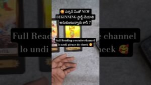 Leia mais sobre o artigo 🥰 పర్సన్ మీతో NEW BEGINNING స్టార్ట్ చేయాలి అనుకుంటున్నారు కానీ ?#tarot #tarotreadingintelugu