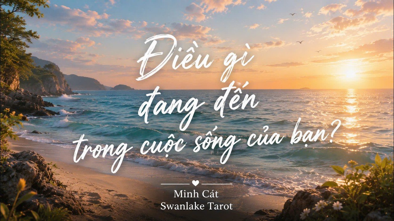 No momento, você está visualizando ĐIỀU GÌ ĐANG ĐẾN TRONG CUỘC SỐNG CỦA BẠN? (TIMELESS)|| SWANLAKE TAROT