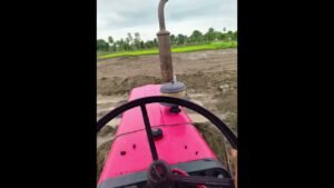 Leia mais sobre o artigo #farming #tarot #1million #shorts