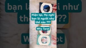 Leia mais sobre o artigo HỌ NGHĨ BẠN LÀ NGƯỜI NHƯ THẾ NÀO?(timeless)#tarot #tarotreading #tarotreader #whytarot #tarotonline
