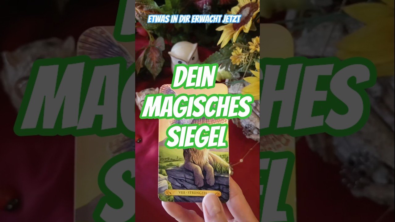 No momento, você está visualizando Hol dir deine Kraft zurück – jetzt 🔥 | Tarot Botschaft 🔮🦉. #tarot