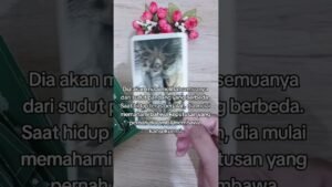 Leia mais sobre o artigo “Karma Untuk Orang yang Menyakiti Kamu?” #tarot #tarotreading #viralvideo #viral #shorts