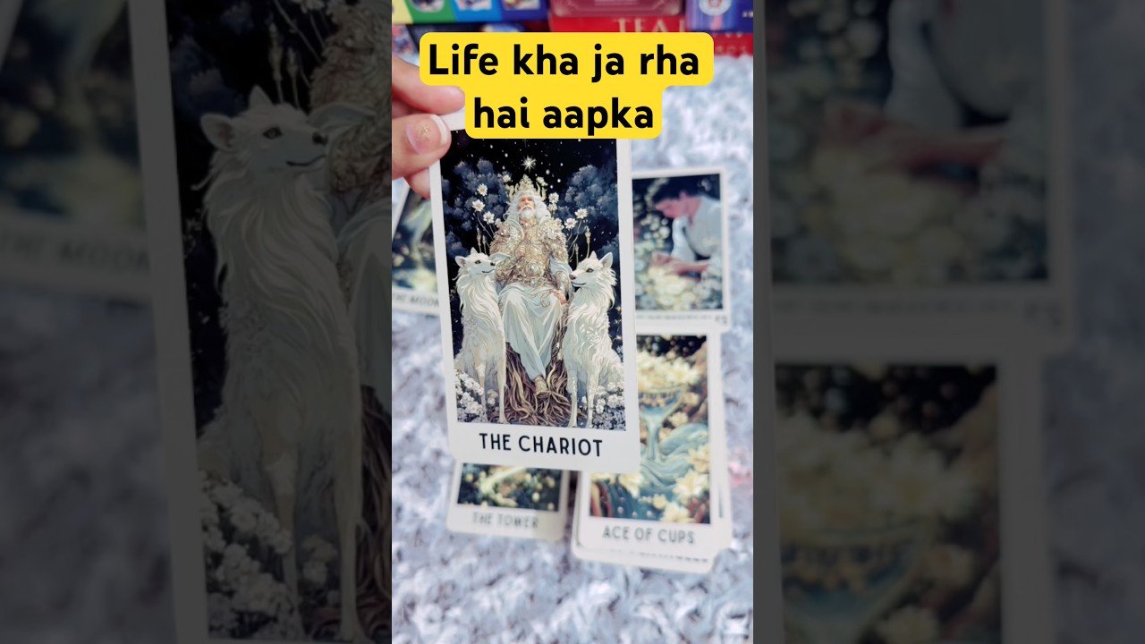No momento, você está visualizando life aage kaisi rhegi aapki/tarot reading/#tarot #tarotreading #life #blessings #shorts