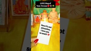 Leia mais sobre o artigo Love Msg🌹🌿♥️ #tarot #tarotreading #love #soulmate #twinflame #dmtodf #twinflames ‎⁨@Tarot.Speaks