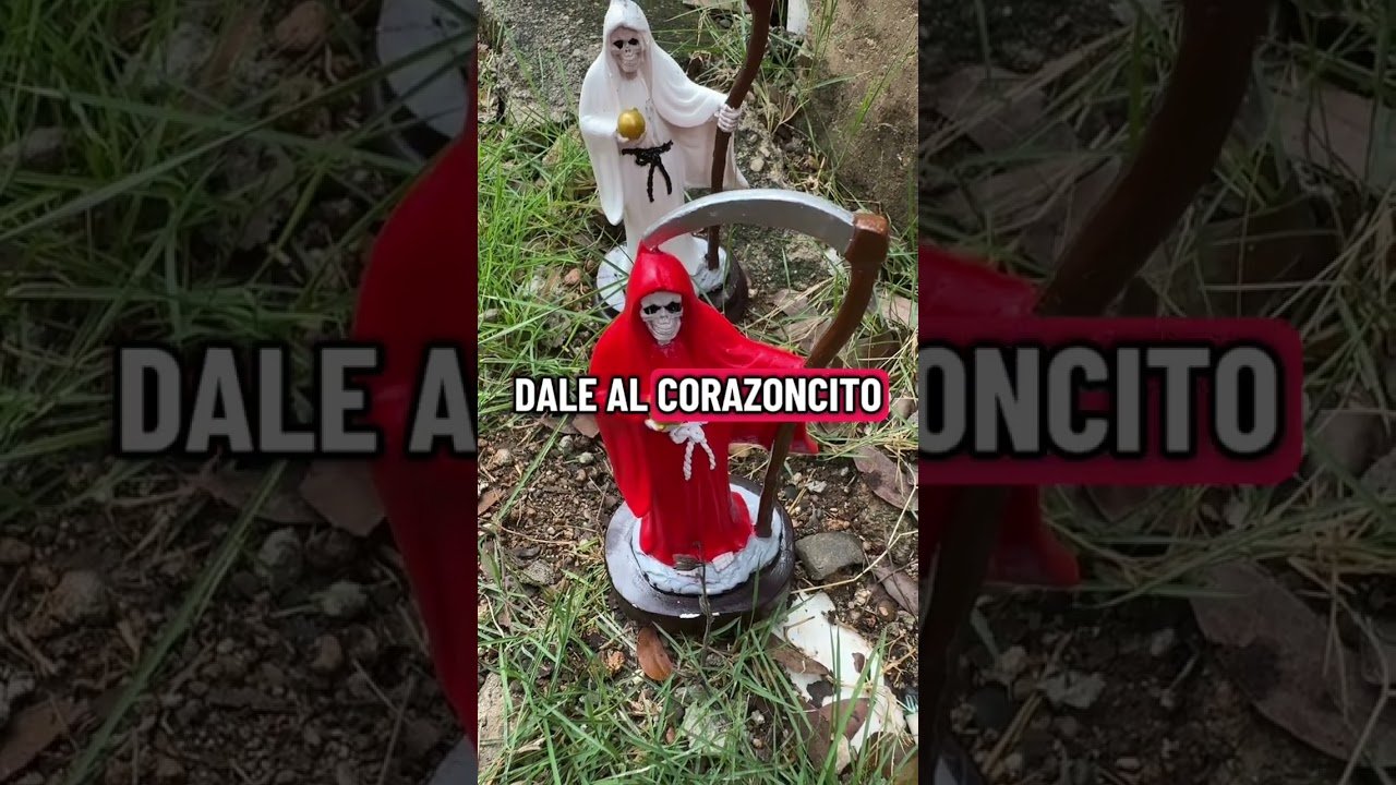 No momento, você está visualizando mensaje de la santa muerte #shortvideo #tarot #lecturacartas #tarotcards