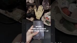 Leia mais sobre o artigo Người từng bỏ lỡ bạn đang muốn quay lại #tarot #duongtarot #tarotreels #tarotvietnam #tarotonline