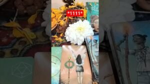 Leia mais sobre o artigo no captions #tarot #devinerelation #thespiritualsecret #tarotreading #viralshorts