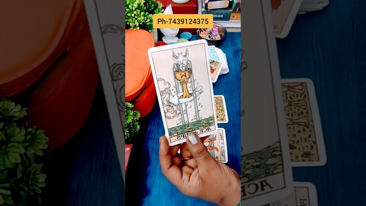 No momento, você está visualizando Partner ke Dimag mein kya h ❤️🌹🥳#shorts #tarotreading #tarot