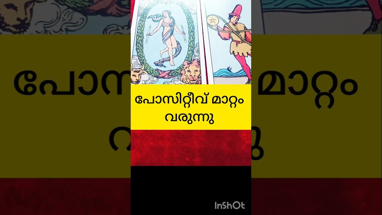 No momento, você está visualizando positive change #tarot #shortvideo #shortsfeed