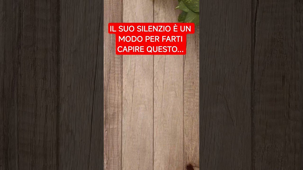 No momento, você está visualizando QUALCUNO CHIEDERÀ SCUSA❤️ #itarocchidicristy #tarocchi #tarocchioggi #messaggio #amore #tarot #asmr