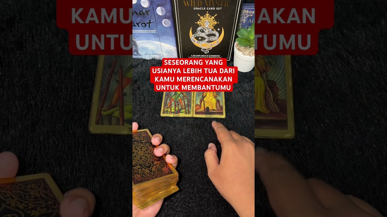 No momento, você está visualizando SESEORANG YANG USIANYA LEBIH TUA DARI KAMU MERENCANAKAN UNTUK MEMBANTUMU #tarot #tarotreading