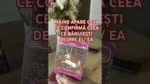 Leia mais sobre o artigo #shorts 🔥ȚI SE CONFIRMĂ O BĂNUIALĂ DESPRE EL/ EA✨ #tarot #twinflame #soulmate #love #duet #karma