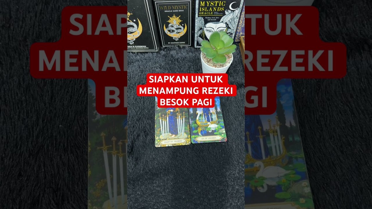No momento, você está visualizando SIAPKAN UNTUK MENAMPUNG REZEKI BESOK PAGI #tarot #tarotreading