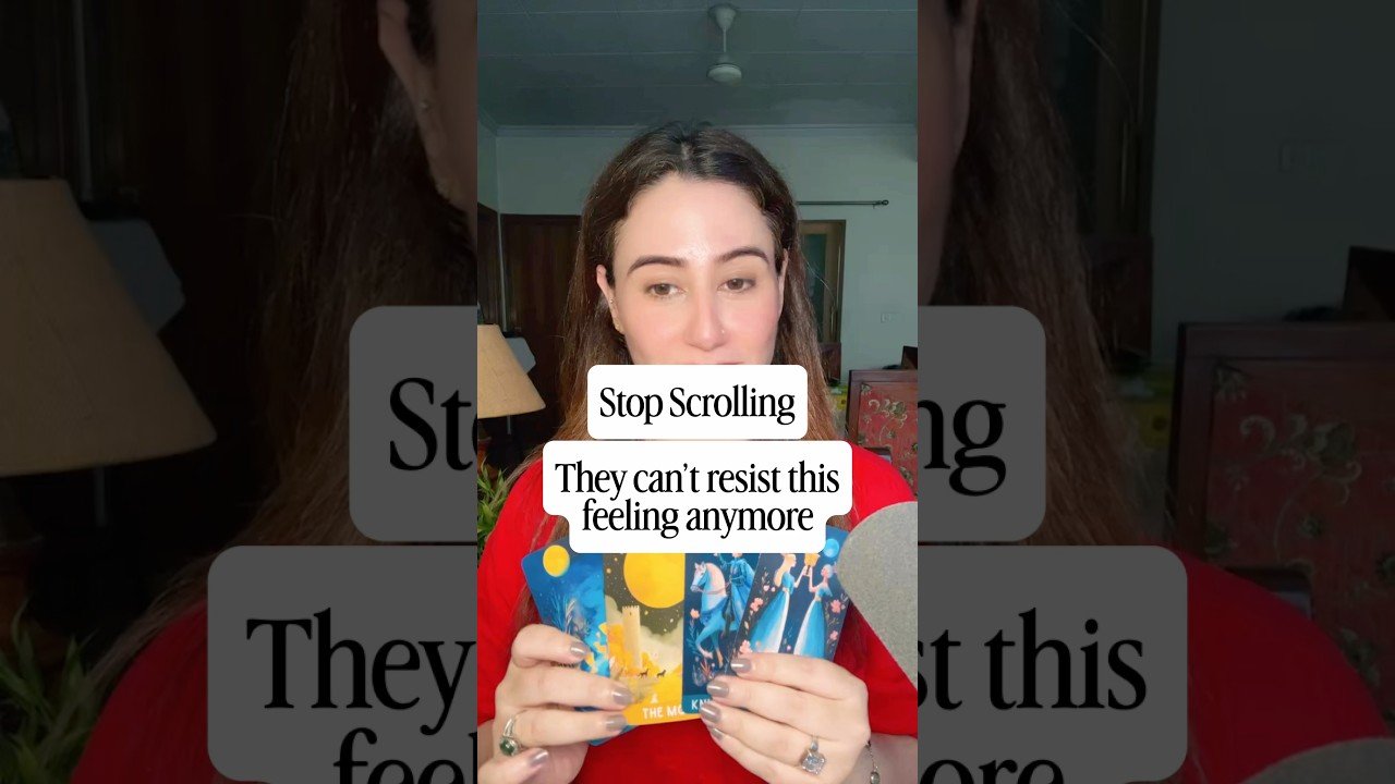 No momento, você está visualizando Stop scrolling they can’t resist this feeling anymore #tarot #tarotreading #tarotcards