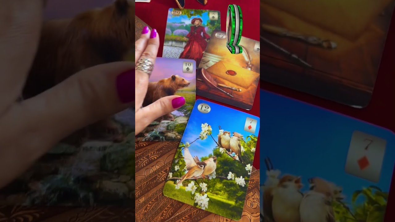 No momento, você está visualizando #taro #tarot #tarotresponde #mulher #tarotcards #mensagem #amor #paixão #baralhocigano #fofoca