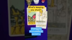 Leia mais sobre o artigo #tarot#tarotcardreading#reasonforstuckness#shorts