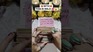 Leia mais sobre o artigo this is WILD 💋 #lovetarot #tarotreading #tarot #lovereading #lovetarotreading