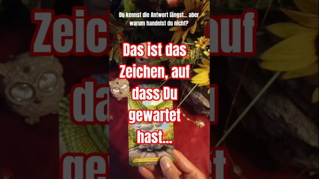 No momento, você está visualizando Warum fällt dir diese Entscheidung so schwer? | Tarot Botschaft 🔮🦉. #tarot