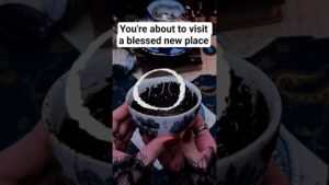 Leia mais sobre o artigo You’re about to visit a blessed new place #tarot #tarotreading #tarotreader