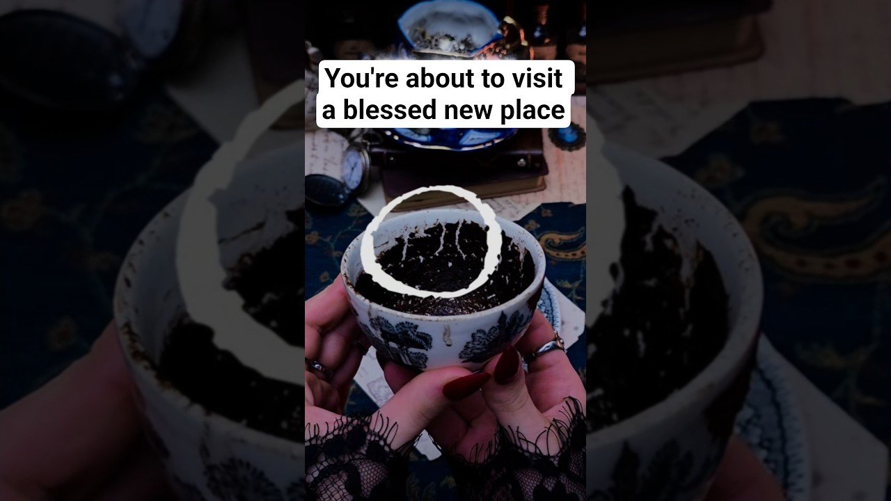 No momento, você está visualizando You’re about to visit a blessed new place #tarot #tarotreading #tarotreader