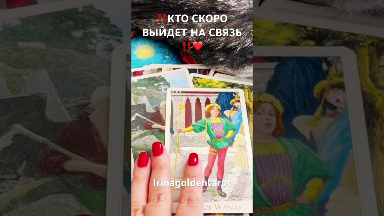 No momento, você está visualizando ‼️КТО СКОРО ВЫЙДЕТ С ВАМИ НА СВЯЗЬ ‼️❤️ #рекомендации #таро #tarot