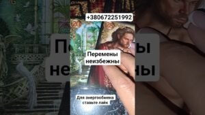 Leia mais sobre o artigo тебя ведут… #таро #таролог #ворожіння #гадание #tarot #расклад