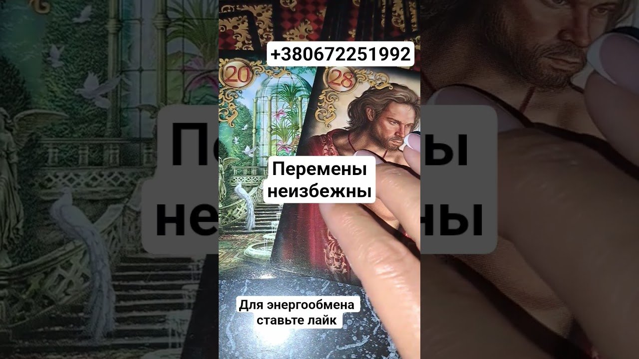 No momento, você está visualizando тебя ведут… #таро #таролог #ворожіння #гадание #tarot #расклад