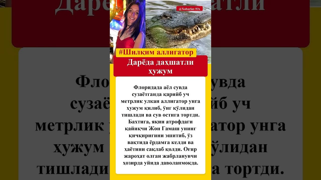 No momento, você está visualizando Дарёда дахшатли хужум #qashqirlarmakonipistirma #news #tarot #butifyoucloseyoureyes #rek