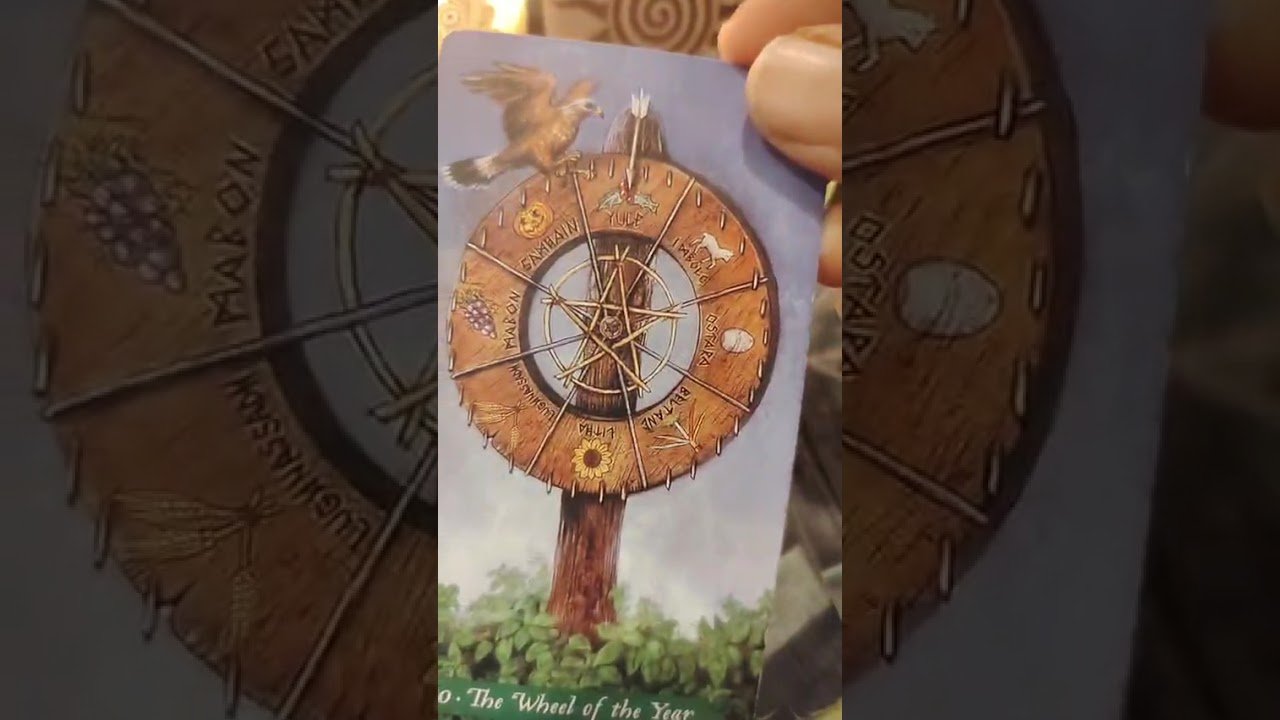 No momento, você está visualizando 31. 08. 2026#tarot #tarotreading #tarotreader#viral#ppppppppppppppppppppppp #