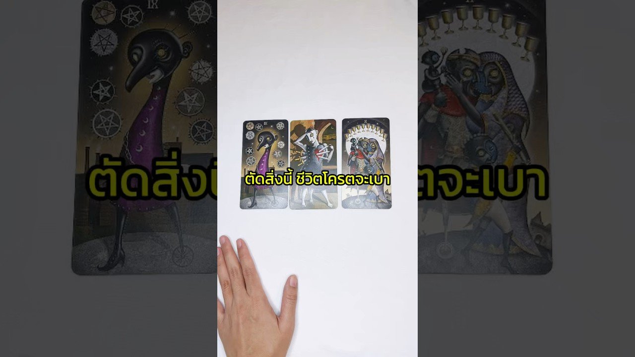 No momento, você está visualizando ตัดสิ่งนี้ ชีวิตจะเบา#tarot #เทรนด์วันนี้ #tarotreading #ไพ่ทาโรต์ #ไพ่ยิปซี #pickacard