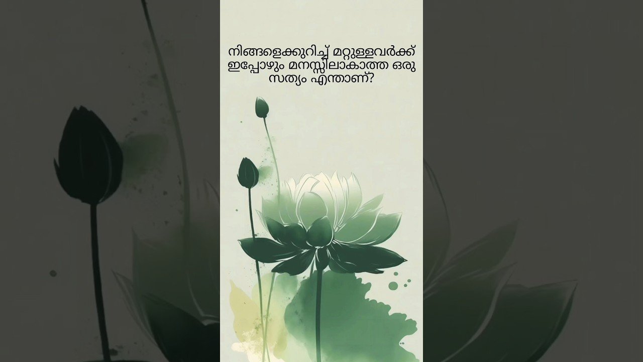 No momento, você está visualizando നിങ്ങളെക്കുറിച്ച് മറ്റുള്ളവർക്ക് ഇപ്പോഴും മനസ്സിലാകാത്ത ഒരു സത്യം എന്താണ്? #tarot
