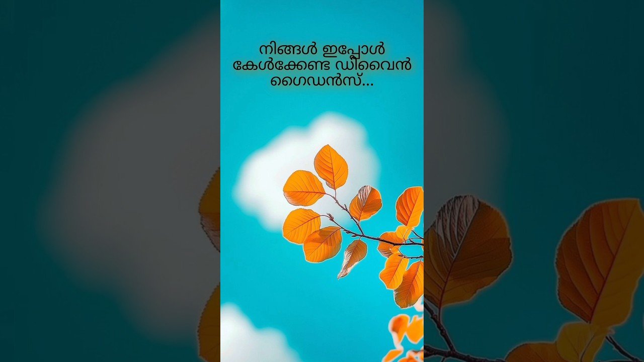 No momento, você está visualizando നിങ്ങൾ ഇപ്പോൾ കേൾക്കേണ്ട ഡിവൈൻ ഗൈഡൻസ്…. #tarot