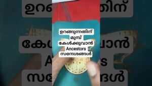 Leia mais sobre o artigo ഉറങ്ങുന്നതിന് മുമ്പ് കേൾക്കുവാൻ 2 സന്ദേശങ്ങൾ #angeloracle #malayalmtarotreading #tarot