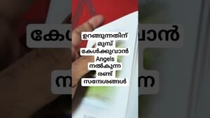 Leia mais sobre o artigo ഉറങ്ങുന്നതിന് മുമ്പ് കേൾക്കാം രണ്ട് Angels messages #angeloracle #malayalmtarotreading #tarot