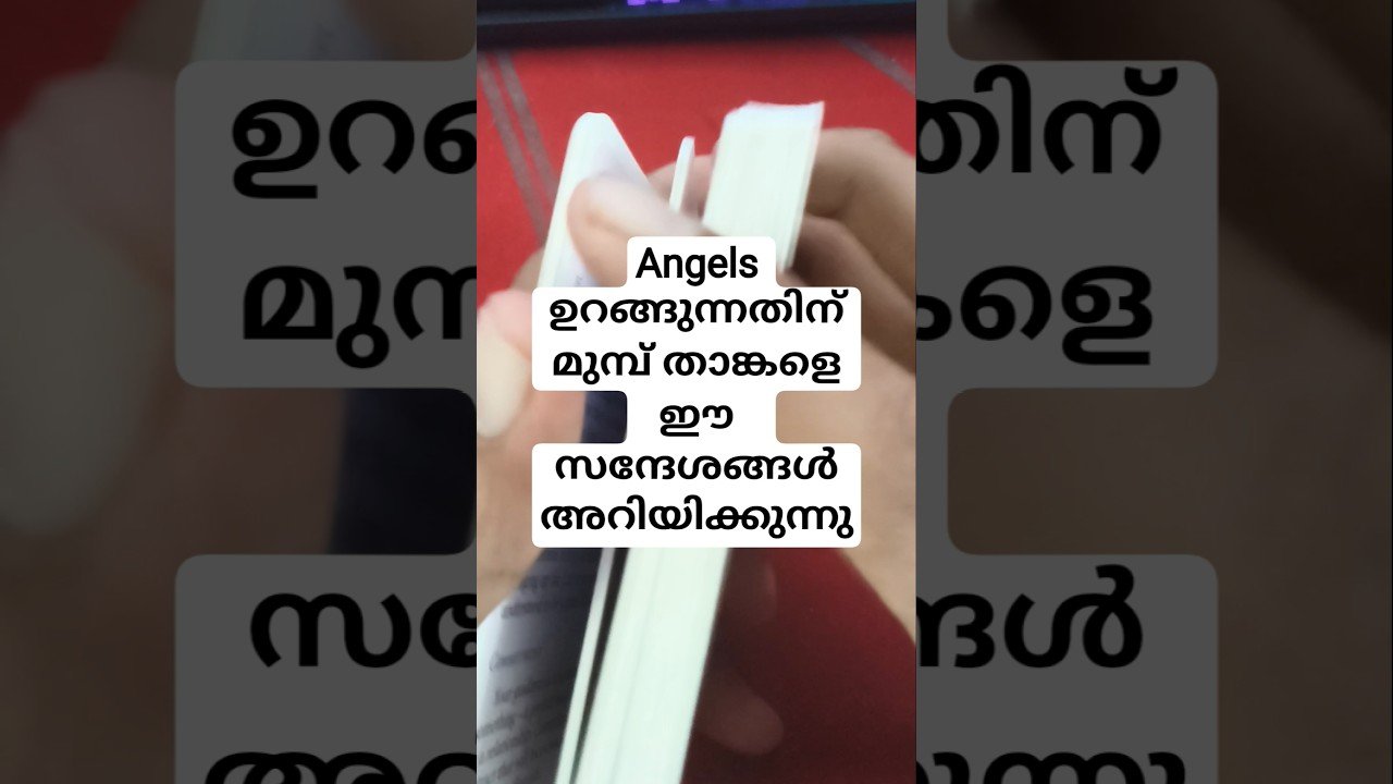 No momento, você está visualizando ഉറങ്ങുന്നതിന് മുമ്പ് കേൾക്കുമല്ലോ ഈ സന്ദേശങ്ങൾ #angeloracle #malayalmtarotreading #tarot