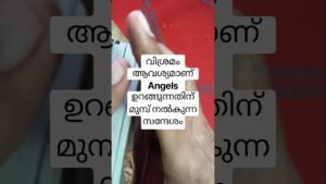 Leia mais sobre o artigo ഉറങ്ങുന്നതിന് മുമ്പ് കേൾക്കൂ ഈ സന്ദേശം #angeloracle #malayalmtarotreading #tarot
