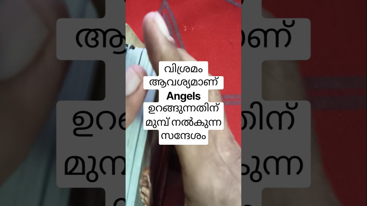 No momento, você está visualizando ഉറങ്ങുന്നതിന് മുമ്പ് കേൾക്കൂ ഈ സന്ദേശം #angeloracle #malayalmtarotreading #tarot