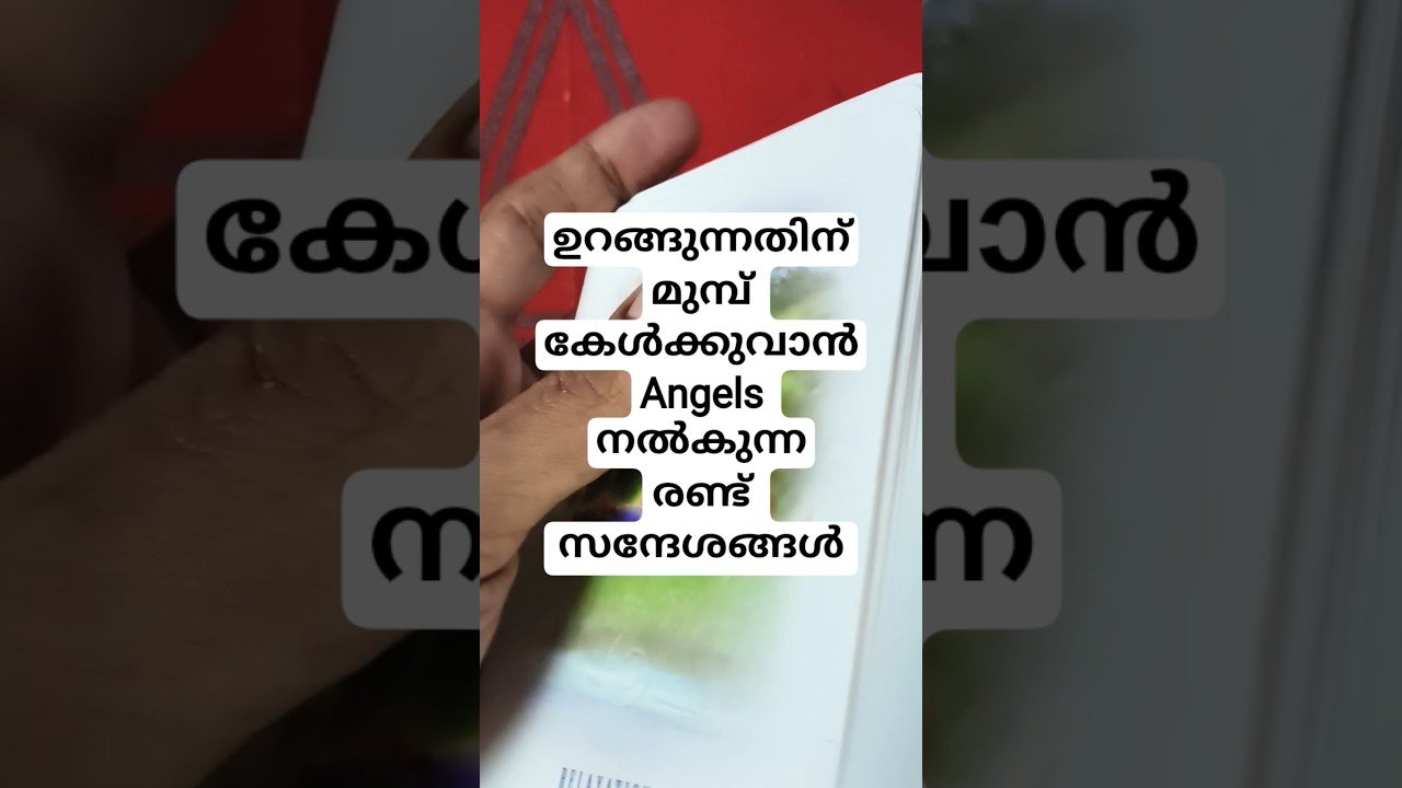 No momento, você está visualizando ഉറങ്ങുന്നതിന് മുമ്പ് കേൾക്കാം രണ്ട് Angels messages #angeloracle #malayalmtarotreading #tarot
