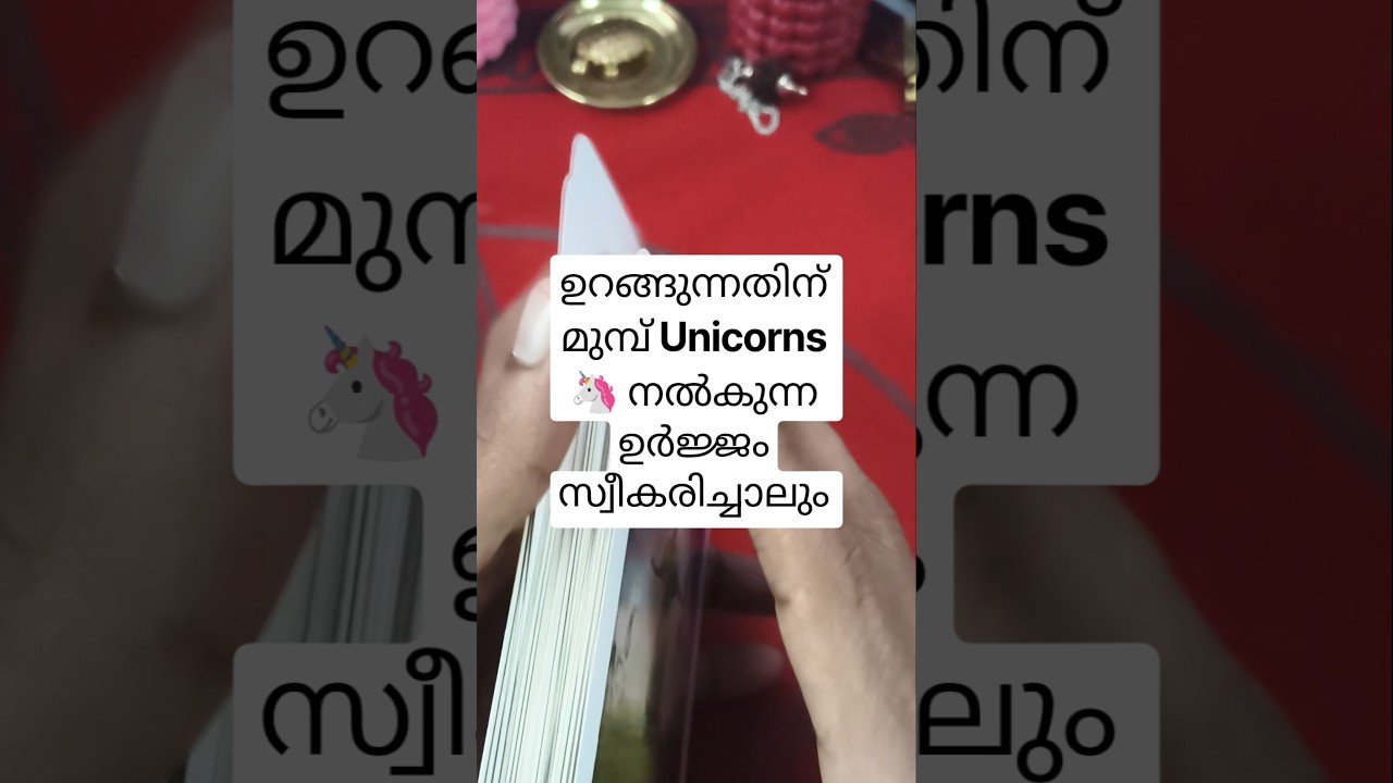 No momento, você está visualizando താങ്കൾക്ക് വേണ്ടി ജീവിക്കേണ്ട സമയമായി #angeloracle #malayalmtarotreading #tarot