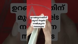Leia mais sobre o artigo രണ്ട് Angel messages താങ്കൾക്കായി Universe നൽകുന്നു #angeloracle #malayalmtarotreading #tarot