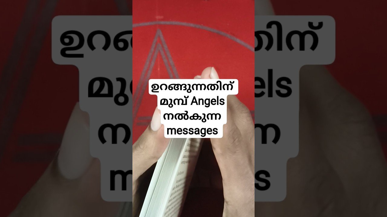 No momento, você está visualizando രണ്ട് Angel messages താങ്കൾക്കായി Universe നൽകുന്നു #angeloracle #malayalmtarotreading #tarot