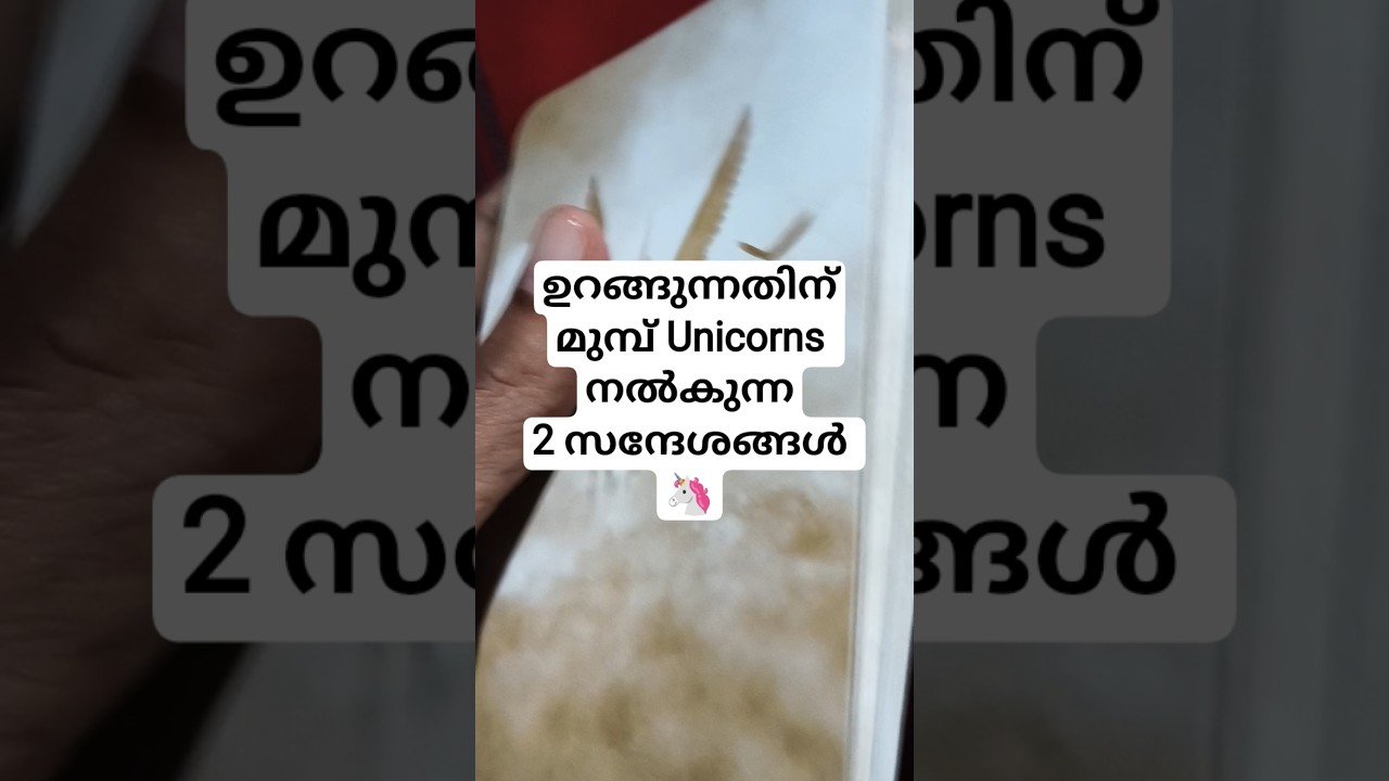 No momento, você está visualizando രണ്ട് 🦄 Unicorns സന്ദേശങ്ങൾ Universe അയച്ചിട്ടുണ്ട് #angeloracle #malayalmtarotreading #tarot