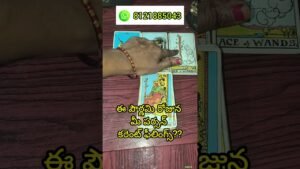 Leia mais sobre o artigo పౌర్ణమి రోజున మీ పర్సన్ కరెంట్ ఫీలింగ్స్???#shorts#tarot#telugu#vishwattarot#love